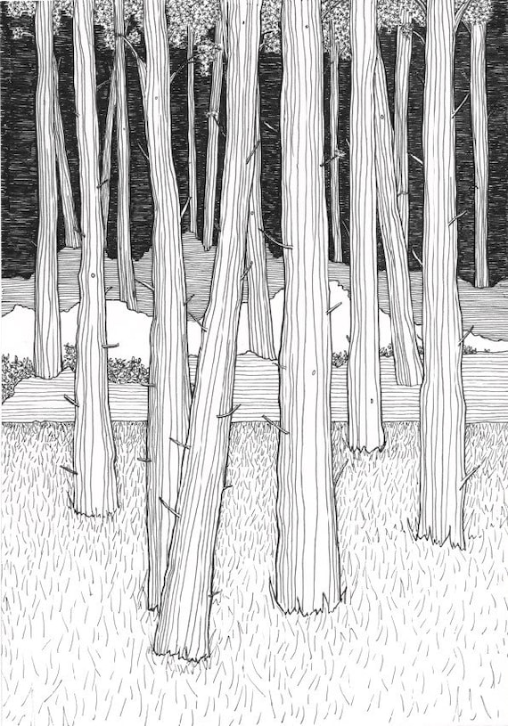 A4 print forest illustration pen and ink pine tree art