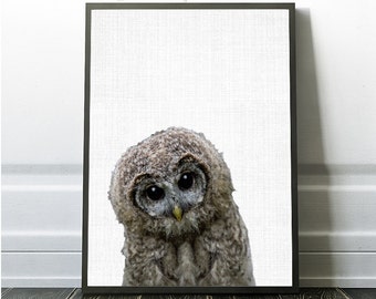 Owl Print, Owl Decor, Owl Photography, Owl Photo, Owl Bird Art, Owl Poster, Owl Download, Owl Nursery Instant Prints, Owl Wall Art