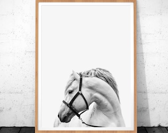 Horse Print, Horse Photography, Horse Printable Art, Horse Photo, Horse Decor, White Horse, Horse Art, White Horse Art, Horse Black White