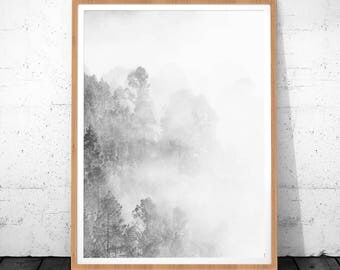 Black and White Prints, Black and White Photography, Minimalist Print, Minimalist Wall Art, Forest Print, Minimalist Art, Forest Art, Decor