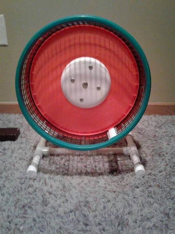 LG sugar glider exercise wheel