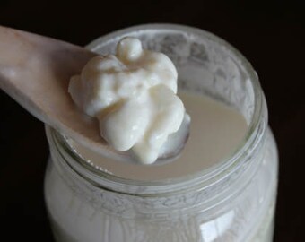 1 Tbsp 1 Tsp Natural Live Milk Kefir Grains, Quality Probiotic Culture Tablespoons Yogurt Starter
