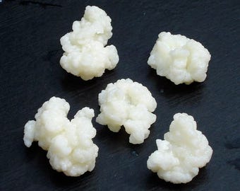 1 TBS Kefir grains live all natural organic milk kefir grains probiotic ferment healthy beneficial bacteria symbiotic culture bacteria yeast
