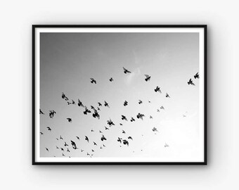 Birds Print, Birds Decor, Birds Photography, Bird Print, Birds Photo, Black and White Birds, Birds in Sky Print, Birds Art, Birds Artwork
