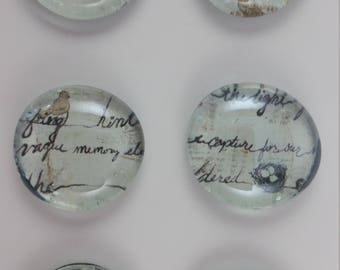 Birds & Script Whimsical Magnets
