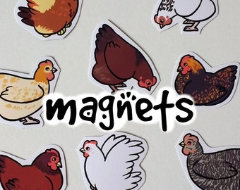Cute Decorative Chicken Magnets! Pack of 8