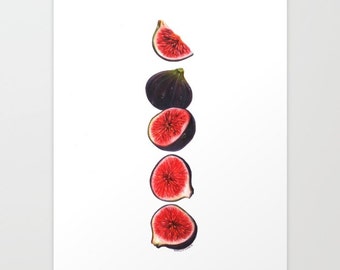 Figs Print