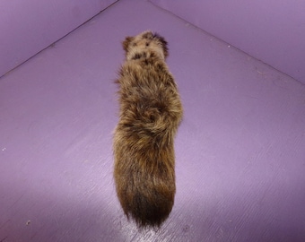 Real animal skin fur parts hide Huge Fox Tail tanned fly fishing