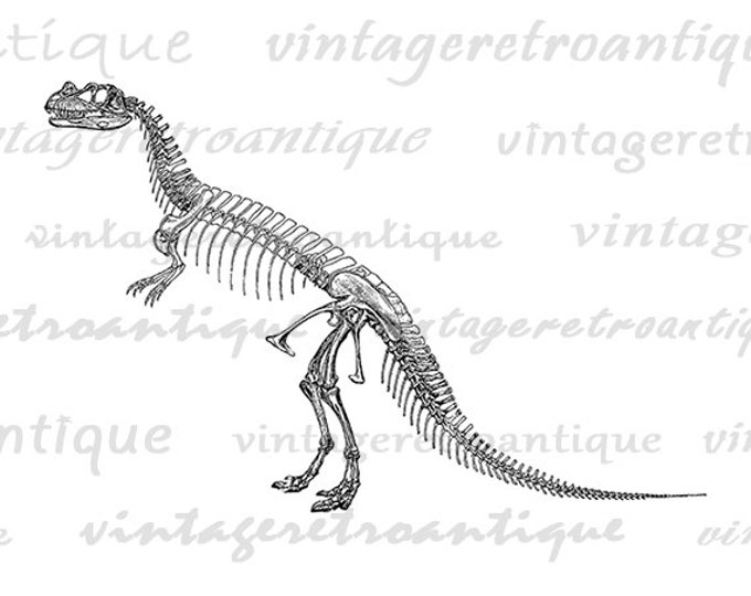 Dinosaur Digital Image Printable Dinosaur Skeleton Download Dinosaur Bones Printable Graphic Antique Clip Art Jpg Png Eps HQ 300dpi No.2166