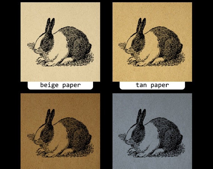Digital Rabbit Art Printable Bunny Rabbit Digital Animal Art Bunny Graphic Illustration Image Vintage Clip Art Jpg Png Eps HQ 300dpi No.3172