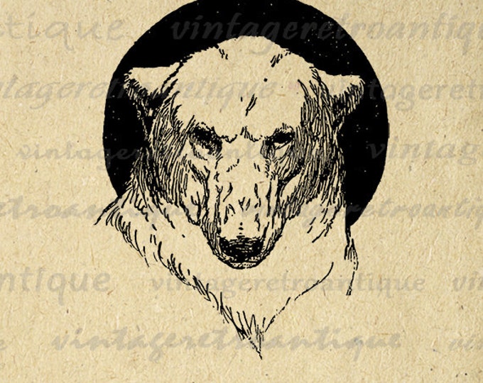 Printable Polar Bear Graphic Digital Antique Image Download Vintage Clip Art Jpg Png Eps HQ 300dpi No.134