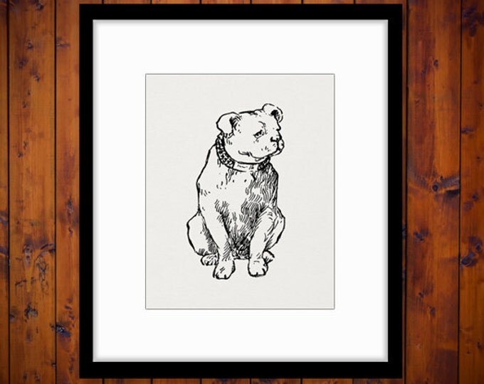 Digital Printable Antique Dog Image Cute Antique Graphic Download Vintage Clip Art Jpg Png Eps HQ 300dpi No.287