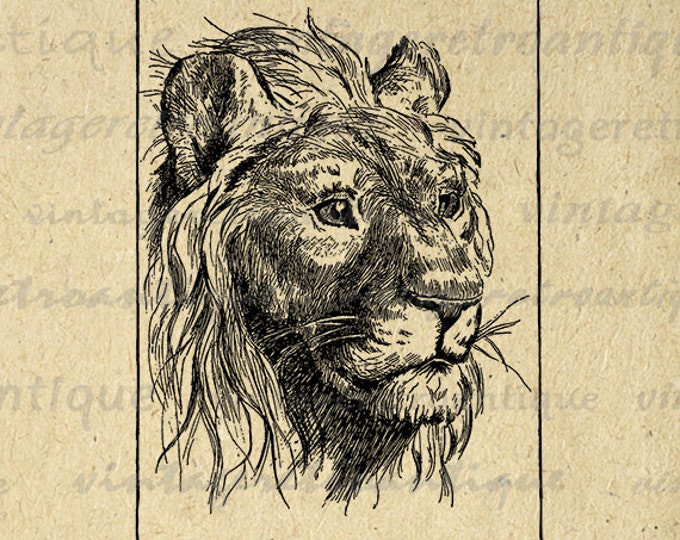 Digital Graphic Antique Lion Printable Cat Image Download Jpg Png Eps HQ 300dpi No.445