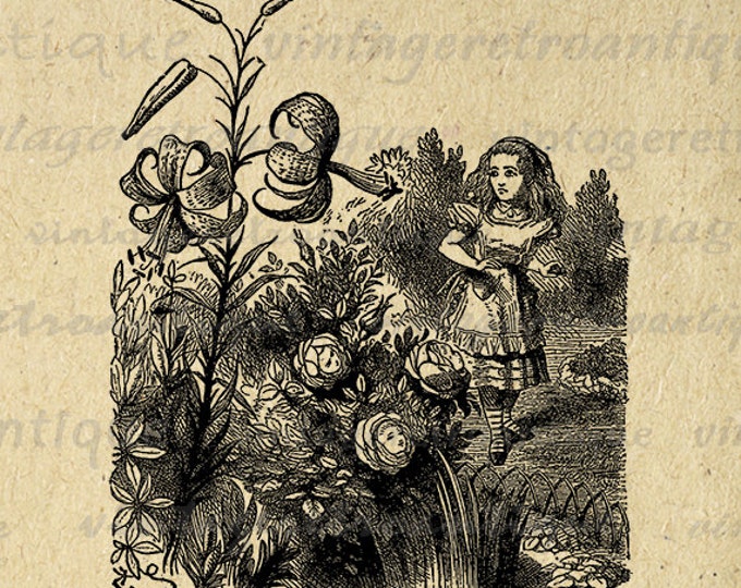 Printable Image Alice in Wonderland Download Garden of Live Flowers Digital Graphic Vintage Clip Art Jpg Png Eps HQ 300dpi No.221