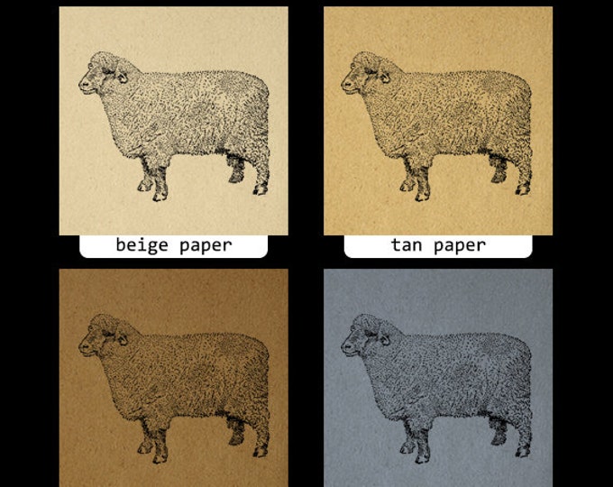 Oxford Down Ram Sheep Image Digital Download Graphic Printable Vintage Clip Art Jpg Png Eps HQ 300dpi No.3305