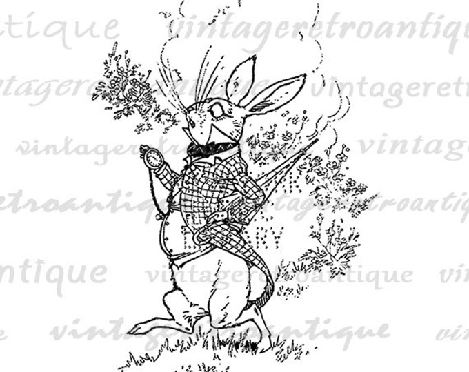 Printable Graphic March Hare Alice in Wonderland Image Download Digital Vintage Clip Art Jpg Png Eps HQ 300dpi No.2504