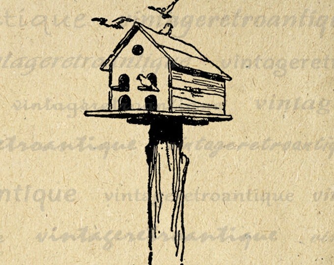 Digital Birdhouse Image Printable Bird House Graphic Download Illustration Vintage Clip Art Jpg Png Eps 18x18 HQ 300dpi No.4045