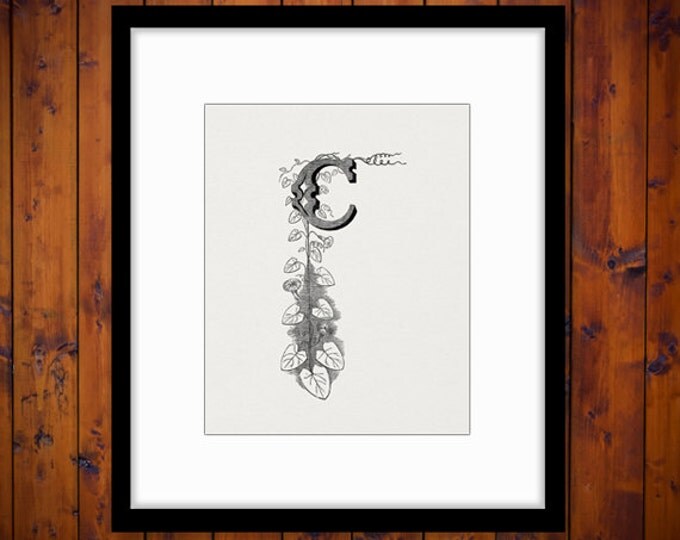 Letter C with Floral Design Image Printable Graphic Design Element Download Digital Antique Clip Art Jpg Png Eps HQ 300dpi No.677