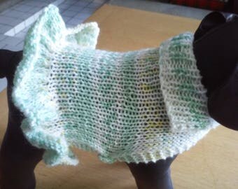 X Small Green and White Dog Dress/Hand Knit Light Weight XXS Ruffled Dog / Puppy Sweater /XS Dog Coat /X Small Dog Clothing /XS Dog Apparel