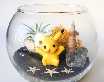 The Pokemon Series: Pikachu Terrarium Kit