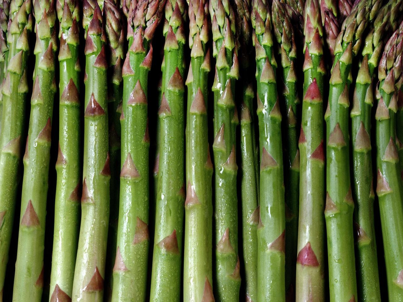 Organic UC 157 Asparagus Seeds 20 Count A slightly nutty