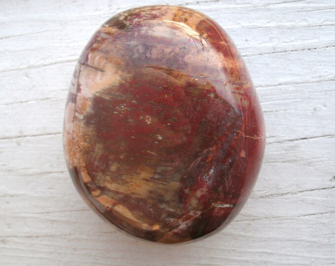 Salicified, Petrified Wood, Palm stone, 187g / 6.6 oz, polished freeform, Madagascar, fossil, crystal healing, mineral display specimen