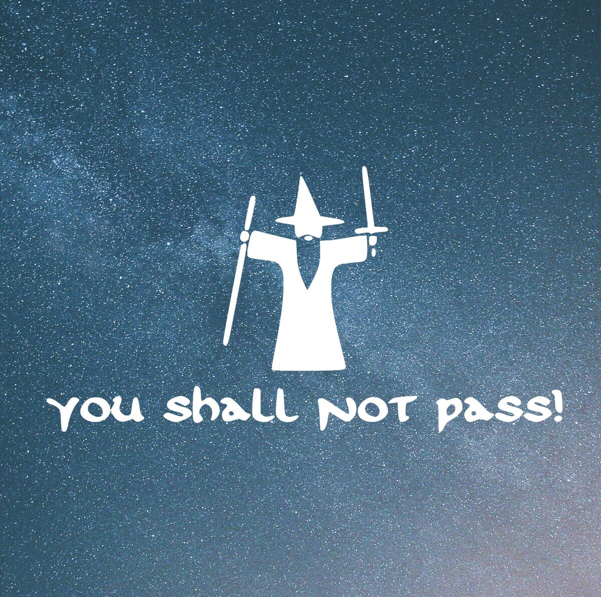 LOTR You Shall Not Pass Funny DieCut Decal Car Window Wall