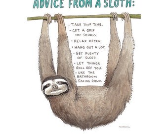 Sloths, Cubicle Decor, Sloth Gift, Funny Sloth, Funny Bathroom Art, Funny List, Funny Rules, Words of Wisdom, Bestfriend Gift, Funny Advice