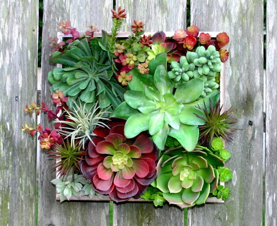 Download Succulent Arrangement Faux Succulent Wall Hanging 12