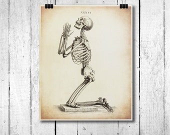 skeleton art – Etsy