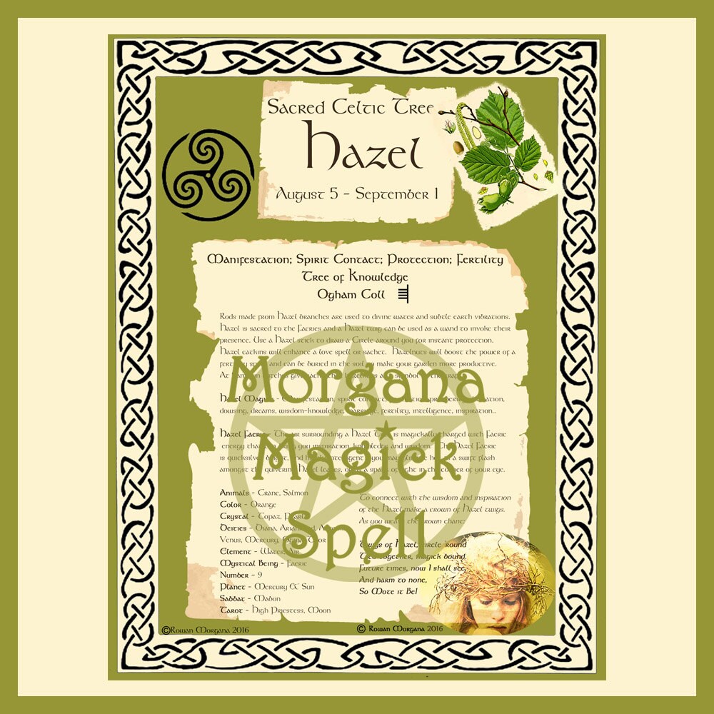 HAZEL CELTIC SACRED Tree Digital Download Book of Shadows