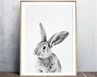 Rabbit Print, Nursery Decor, Black and White Photogarphy, Baby Animal Portrait, Woodland Animal Print, Nursery Animal Print, Digital Print