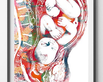 Pregnancy watercolor print full term baby in womb poster ginecology art medical giclee print anatomy art obstetrics midwifery wall decor