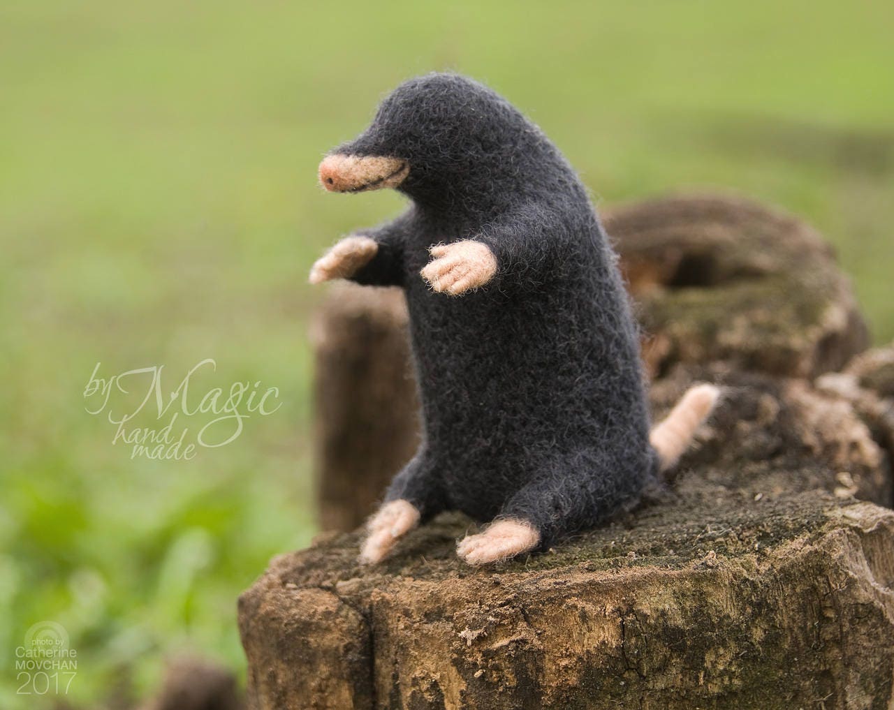 mole cuddly toy