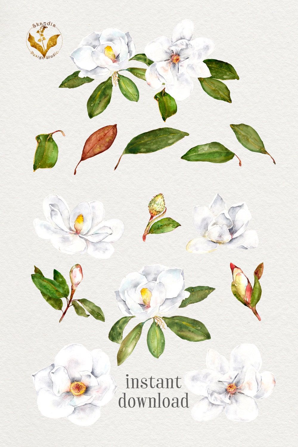 Download Watercolor flowers magnolia clipart clipart flowers