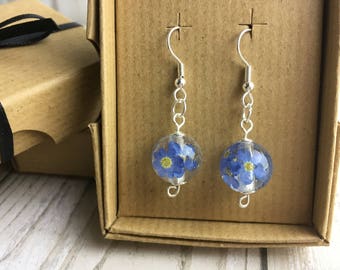Forget me not earrings-real flower earrings-pressed flower earrings-resin jewelry-terrarium earrings