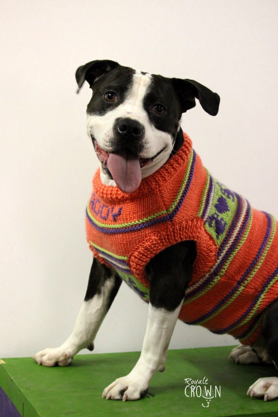 Sweaters Made For Pitbulls