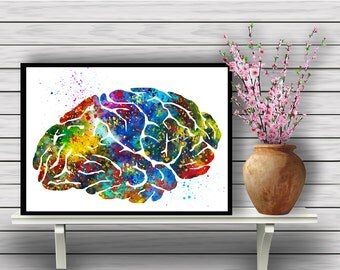 Colorful Human Brain, Biology, Watercolor Room Decor, Science, Anatomy, Wall Hanging, Home Decoration, gift, Instant Download (360)
