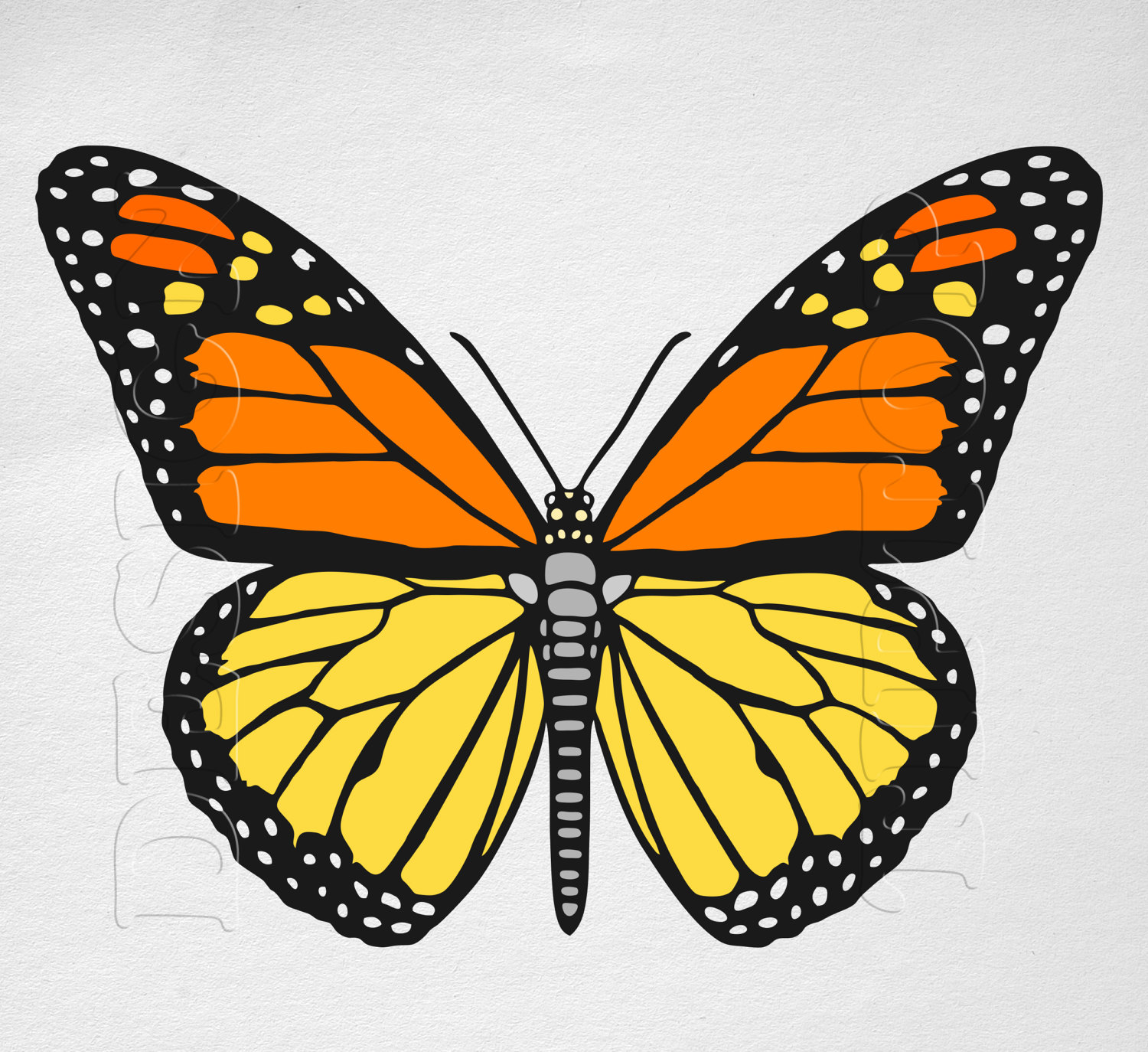 This is a photo of Vibrant Butterfly Cut Out Printable It's just a picture of Vibrant Butterfly Cut Out Printable