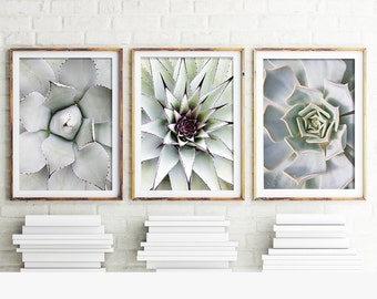 Cactus Prints, Set Of 3 Prints, Cacti, Succulent Print, Botanical Art, Cactus Print, Wall Art, Cactus, Art Prints, Print, Cactus Art, 112d