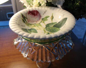 Glass Bird Bath, Bird Feeder