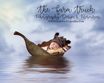 Newborn Digital Backdrop, Newborn Digital background, Leaf, boat, floating, water, brilliant sky, fairytale background, studio backdrop