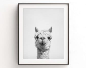 Alpaca print alpaca wall art nursery print alpaca art printable poster nursery decor digital download animal print black and white photo