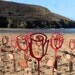 Valentines Rose: lasercut MDF rose, flower in red, white or plain