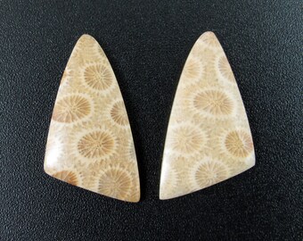 Beautiful Fossil coral cabochon pair, earrings,set stone, Natural stone, , Jewelry making supplies S7423