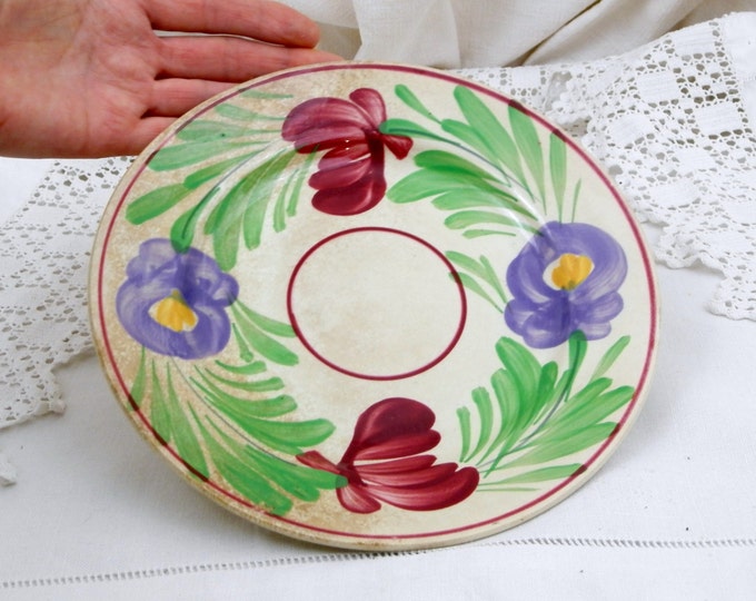 Antique French Dessert Plate Ceramic Plate Hand-painted Flower Pattern, Sarrguemines Digoin, French Country Decor, Vintage Home, Retro Decor