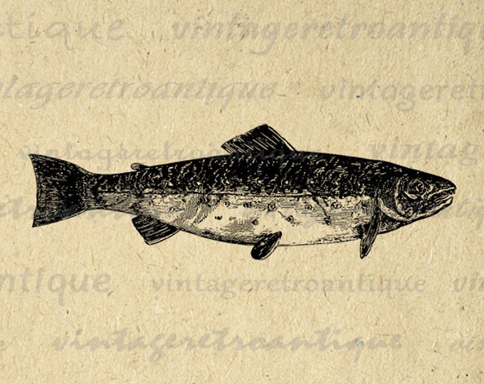Printable Image Trout Fish Digital Illustration Download Graphic Vintage Clip Art Jpg Png Eps HQ 300dpi No.3178