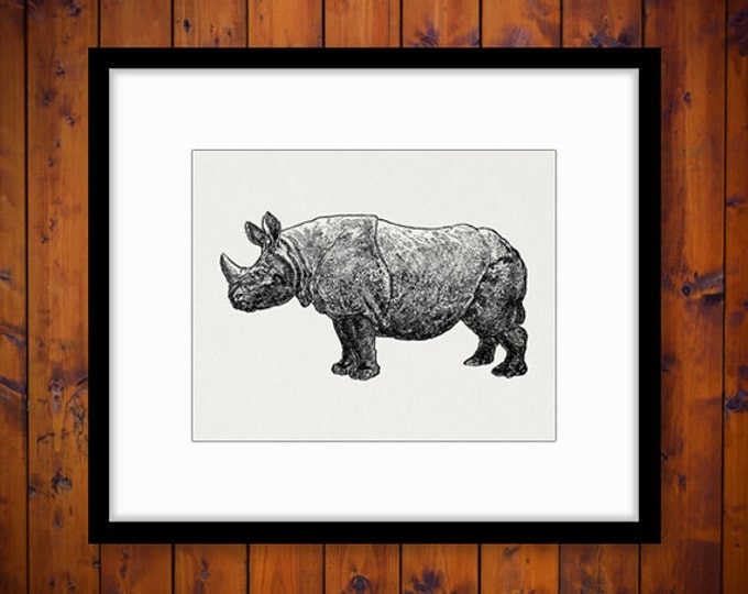 Rhino Graphic Printable Image Download Rhinoceros Illustration Digital Vintage Clip Art Jpg Png Eps HQ 300dpi No.2640