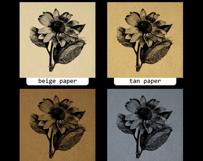 Flower Printable Graphic Download Antique Digital Image Vintage Clip Art Jpg Png Eps HQ 300dpi No.265