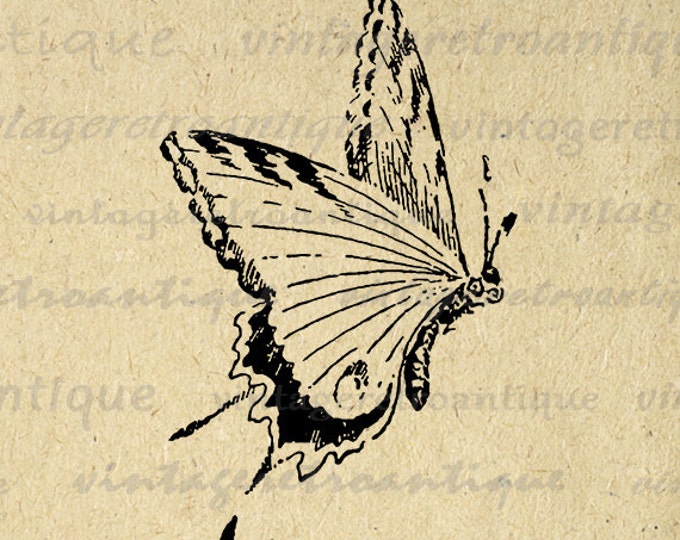 Printable Flying Butterfly Image Graphic Download Digital Artwork Vintage Clip Art Jpg Png Eps HQ 300dpi No.2541